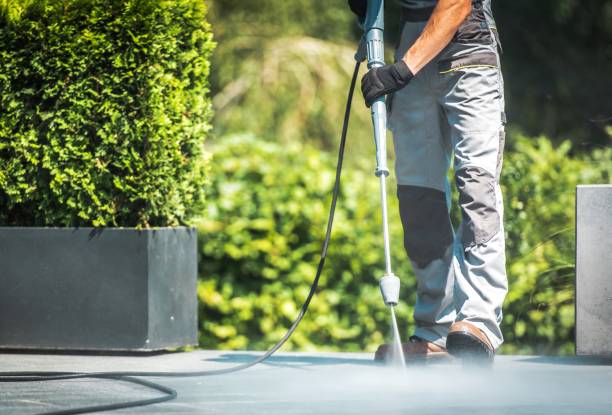  Danville, IN Pressure Washing Pros